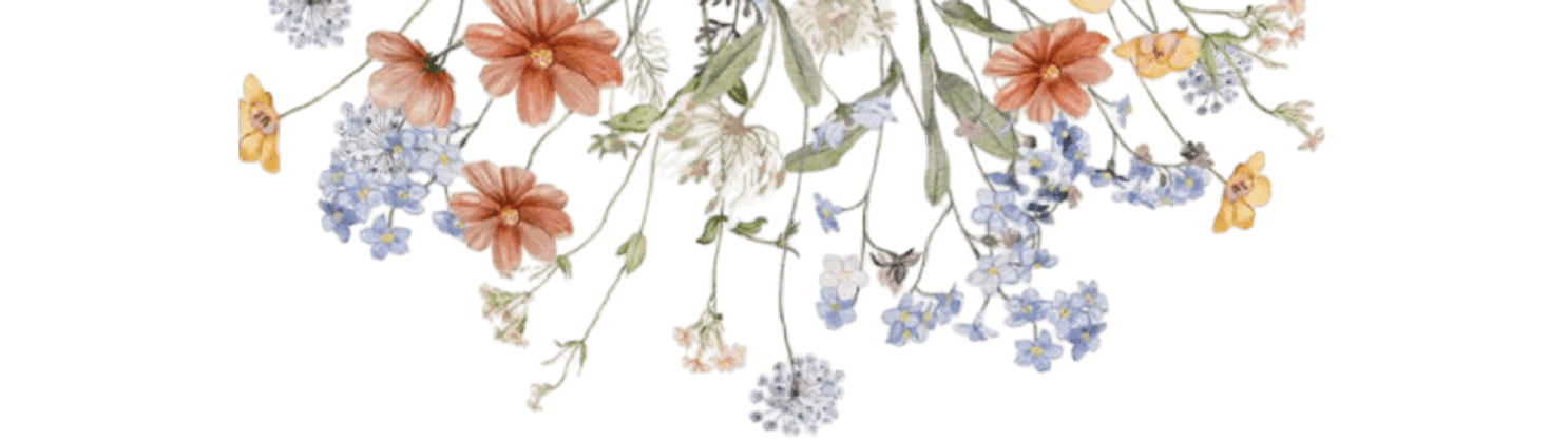 Ale&mic-flores-Actividades